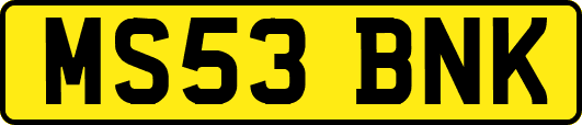 MS53BNK