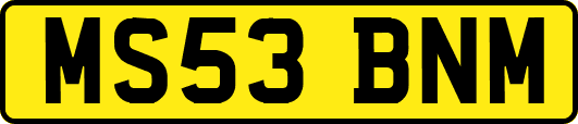 MS53BNM