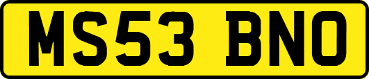 MS53BNO