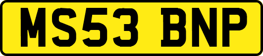 MS53BNP