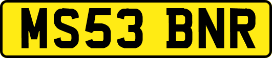 MS53BNR