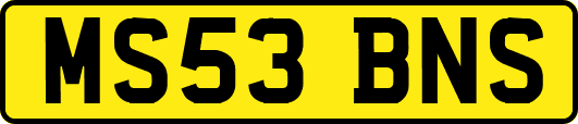 MS53BNS