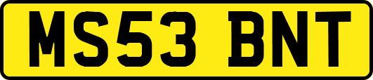 MS53BNT