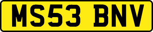 MS53BNV