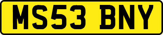 MS53BNY