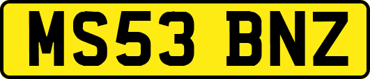 MS53BNZ