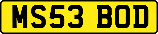MS53BOD