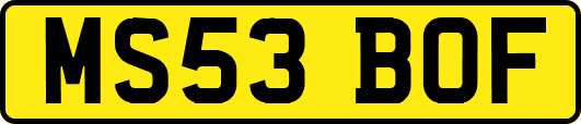 MS53BOF