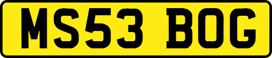MS53BOG