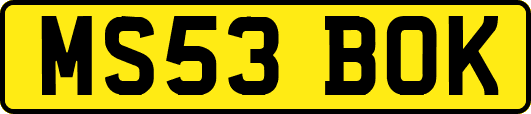 MS53BOK