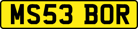 MS53BOR