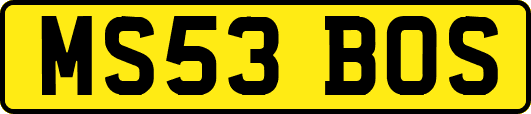 MS53BOS