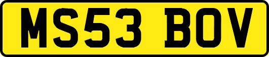 MS53BOV