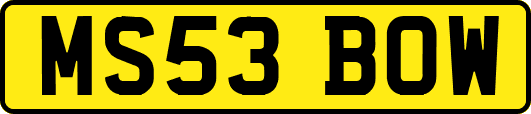 MS53BOW