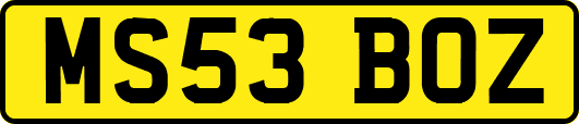 MS53BOZ