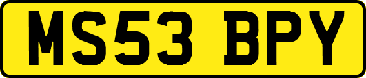 MS53BPY