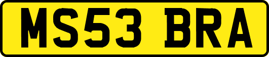MS53BRA