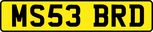 MS53BRD