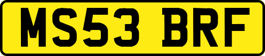 MS53BRF