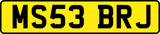 MS53BRJ