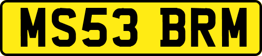 MS53BRM