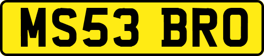 MS53BRO