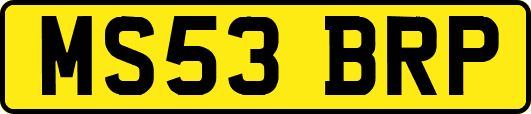 MS53BRP