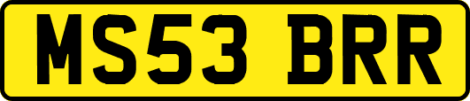 MS53BRR