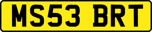 MS53BRT