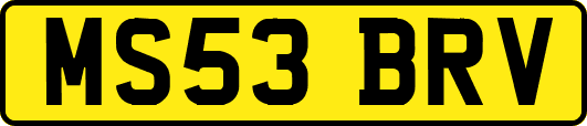 MS53BRV