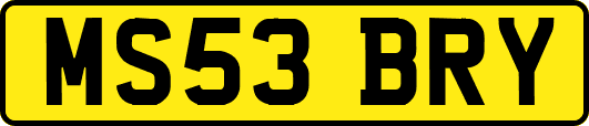MS53BRY