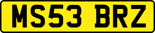 MS53BRZ