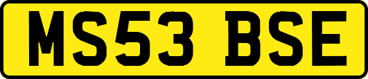 MS53BSE