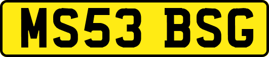 MS53BSG