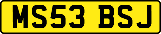 MS53BSJ