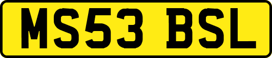 MS53BSL