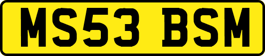 MS53BSM