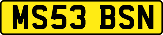 MS53BSN