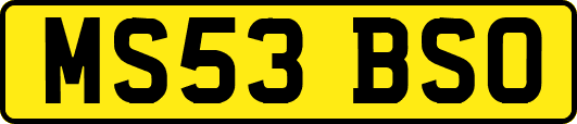 MS53BSO