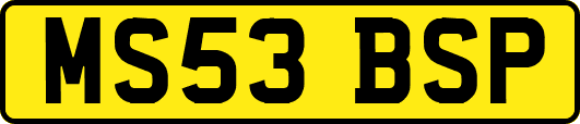 MS53BSP