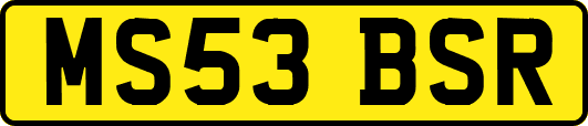 MS53BSR