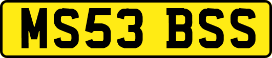 MS53BSS