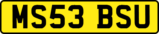 MS53BSU