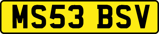 MS53BSV