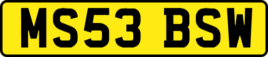 MS53BSW