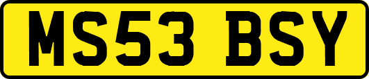 MS53BSY