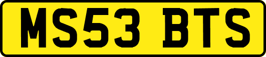MS53BTS