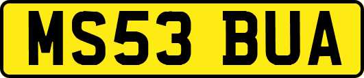 MS53BUA