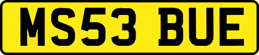 MS53BUE