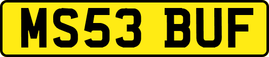 MS53BUF